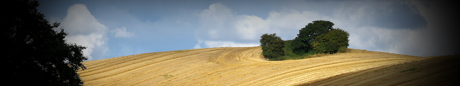 Smukke fynske bakker